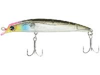 サスケSF-95#SKF227クリアーイナッコ