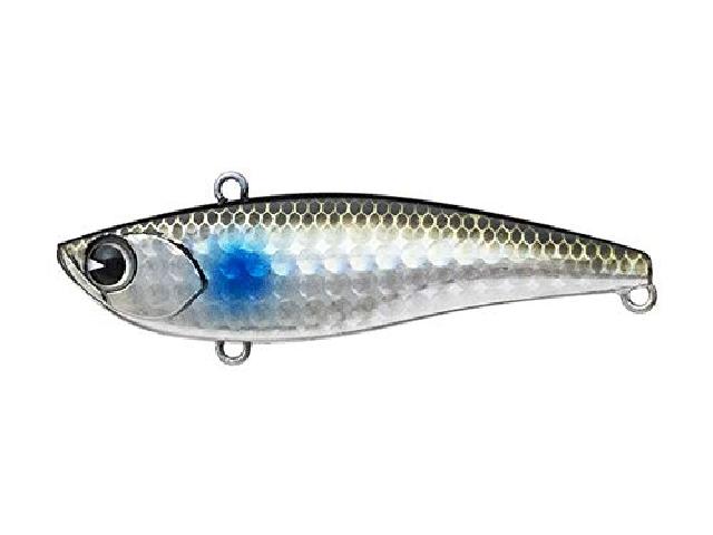 ライキリ70#RK70-004ボラ