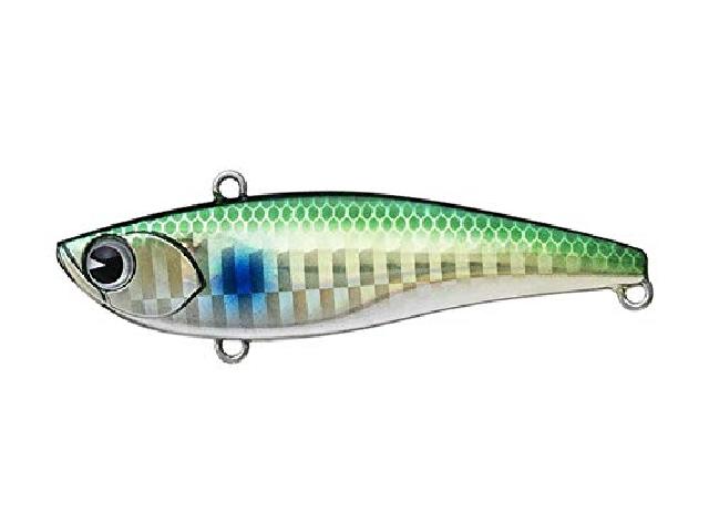 ライキリ70#RK70-005ゴールドボラ