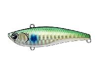 ライキリ70#RK70-005ゴールドボラ