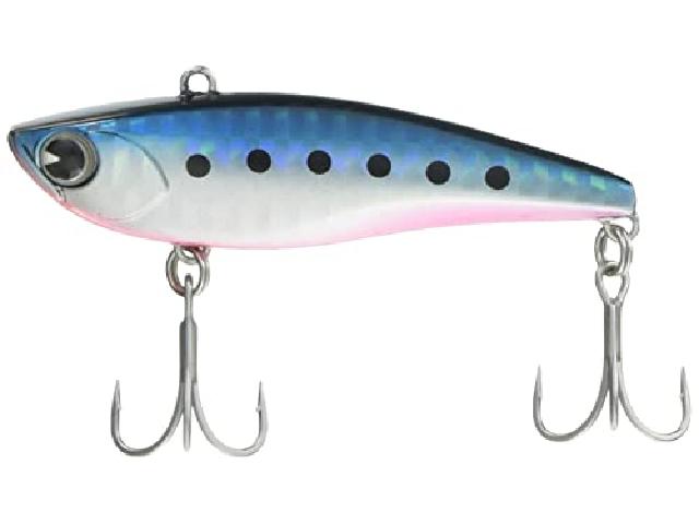 ライキリ70#RK70-006マコイワシ