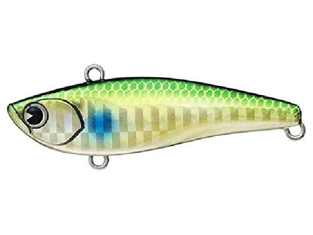 ライキリ60#RK60-011ゴールドボラ