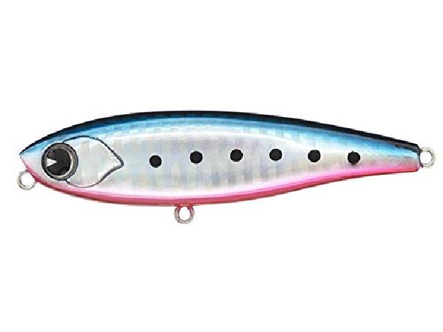 チャッピー80#CP80-007マコイワシ