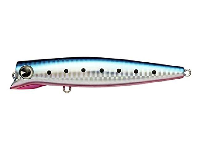 エンパシー120#EM120-007マコイワシ