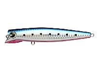 エンパシー120#EM120-007マコイワシ