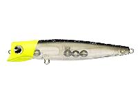 エンパシー120#EM120-012星空チャート