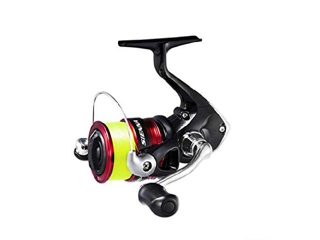 19シエナ20002号糸付き