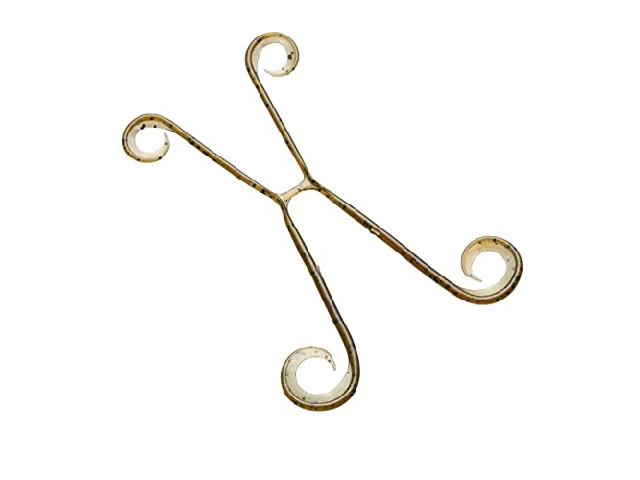 炎月イカタコフォーED-V01U009イソメグリパン