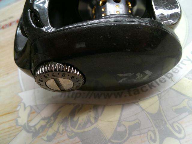 ブレイゾン 100H