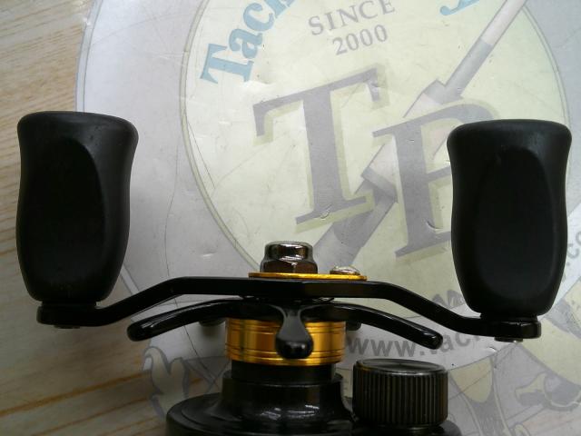 ブレイゾン 100H