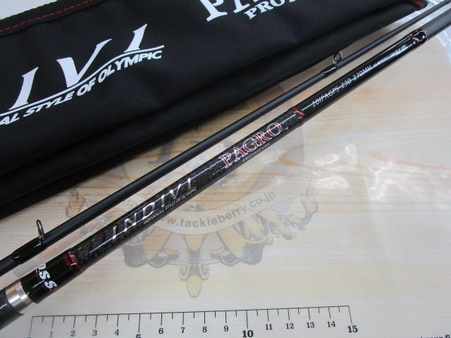 インディビパグロプロトタイプ 20IPAGPS-230-270MH