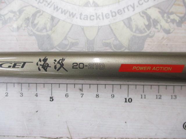 プロセクションインターゲット海波 20-210