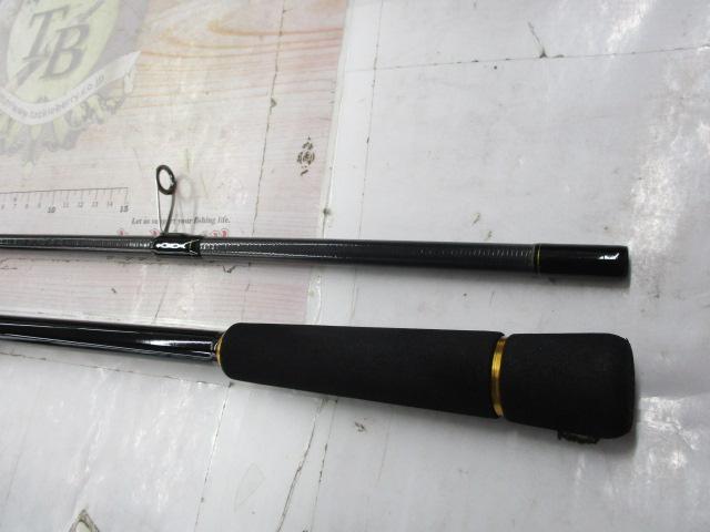 ラテオ　96M・R 特価】ダイワ ラテオ R 96M 2019モデル (スピニング2ピース): 竿