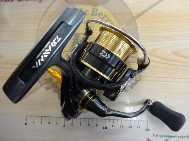 17セオリー 2506H