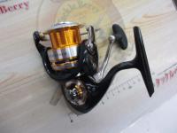 10セルテート 2500R