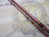 リーディング-X マダイ 300