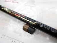 プロミネント鮎 硬調810