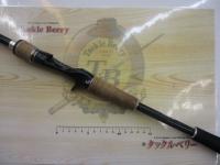 エクスプライド 171H