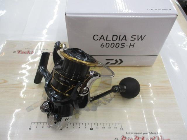 22カルディアSW 6000S-H