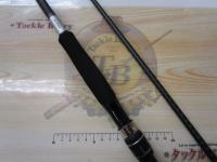 21ムーンショット S100M