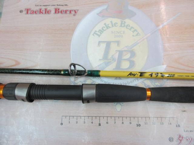 エニティーイサキ 205