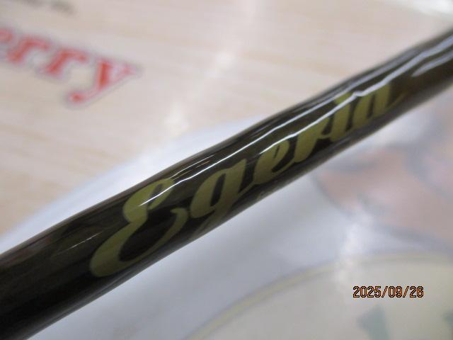 エゲリア ESNS-411UL