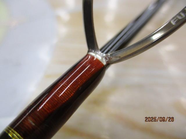 エゲリア ESNS-411UL