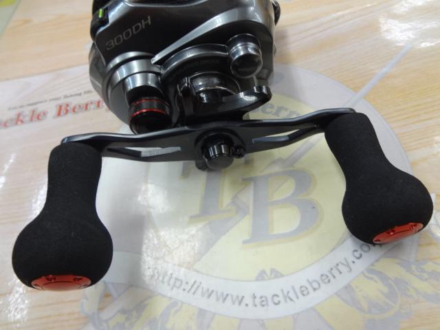 15フォースマスター 300DH