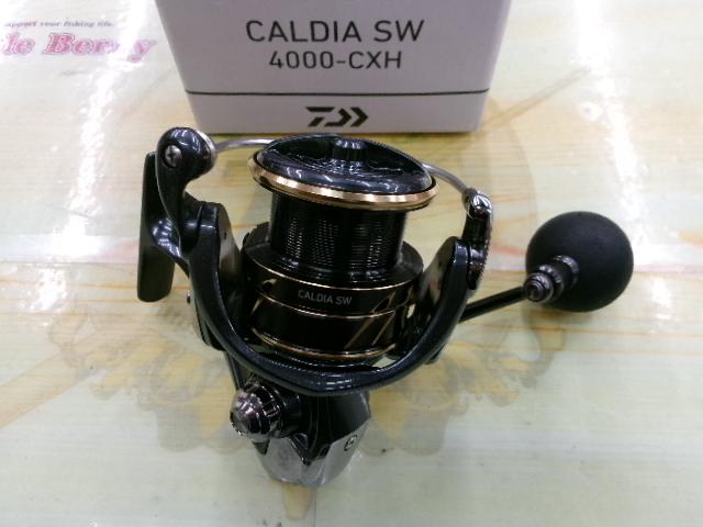 22 カルディア　SW 4000-CXH 4550133220661_13.jpg