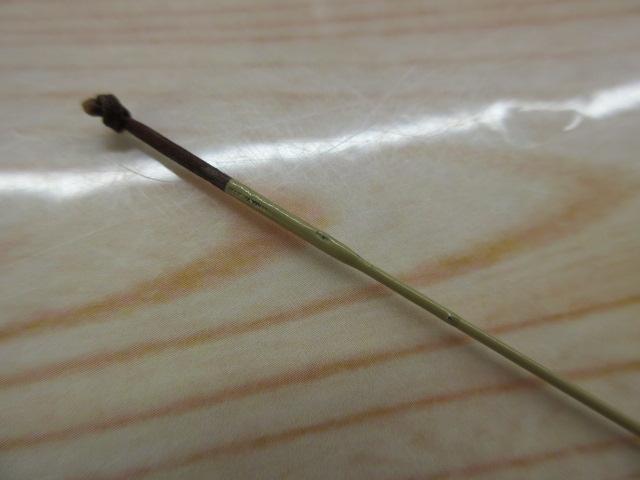 朱紋峰 ぬけさく 9