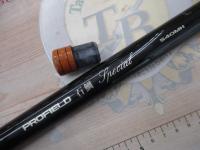 プロフィールド石鯛スペシャル 540MH