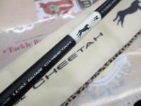 ラグゼソルテージチータRR 110MH