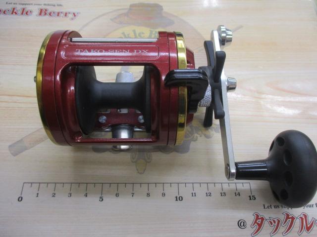 鳥の骨探 NTS 中古 ☆即納☆ シロアゴヨタカ（Savanna Nightjar）骨格標本 - 頭骨