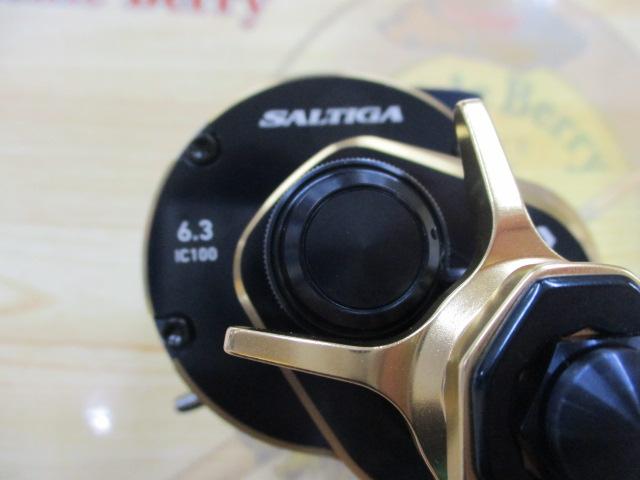 21ソルティガIC 100