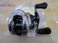 19アンタレスHG RH