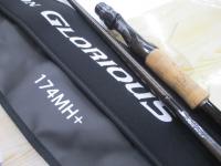 21ポイズングロリアス 174MH+