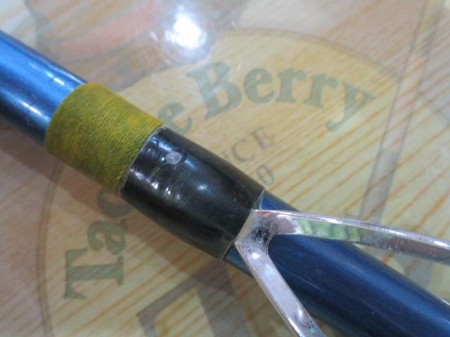 サーフリーダーEVSF 425DX