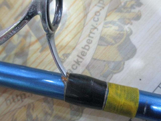 サーフリーダーEVSF 425DX