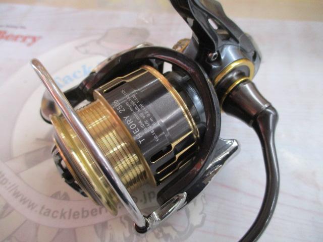 ダイワ 17セオリー2506 ダイワ(DAIWA) 17セオリー(THEORY) 2506 17セオリー(THEORY