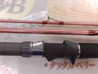 リーディング-X マダイ 300