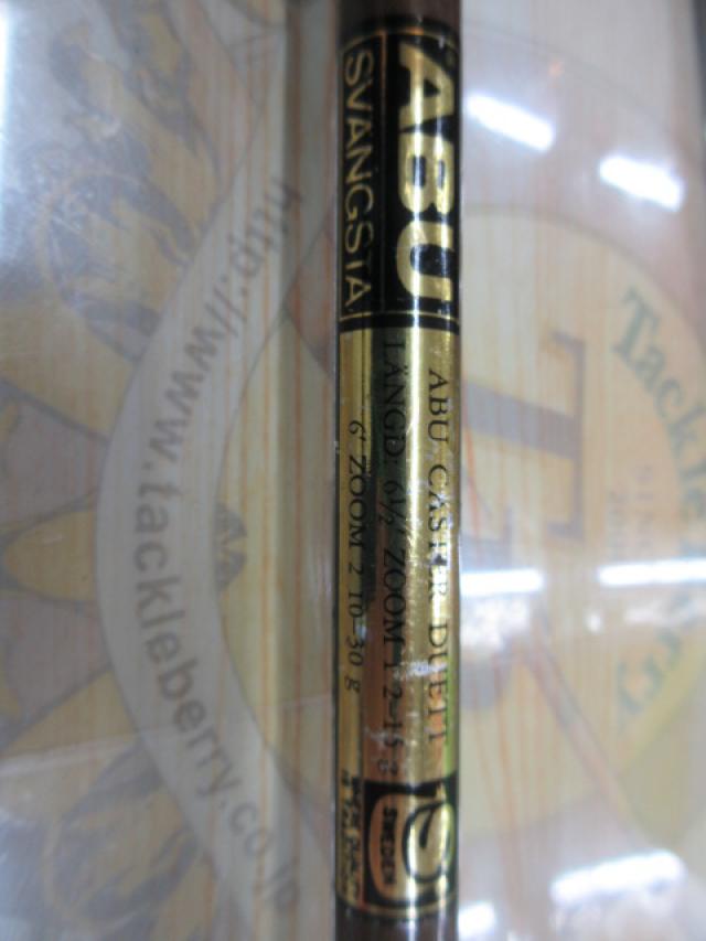 キャスターデュエットズーム