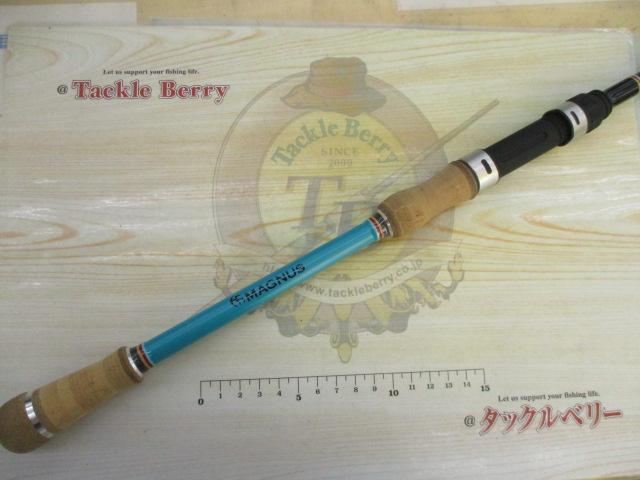 カナリア アゾレス81