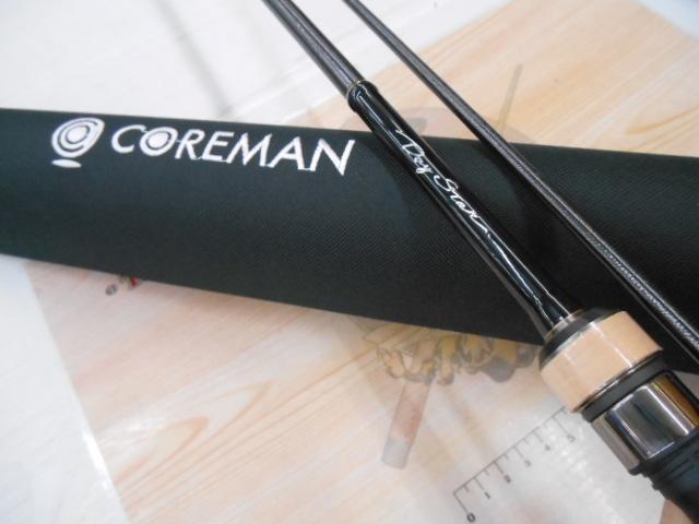 デイスター CDS84LL-TT