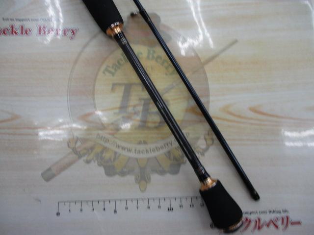 ラグゼデッキステージEGTR S510M-solid.F｜＠ベリーネット 日本