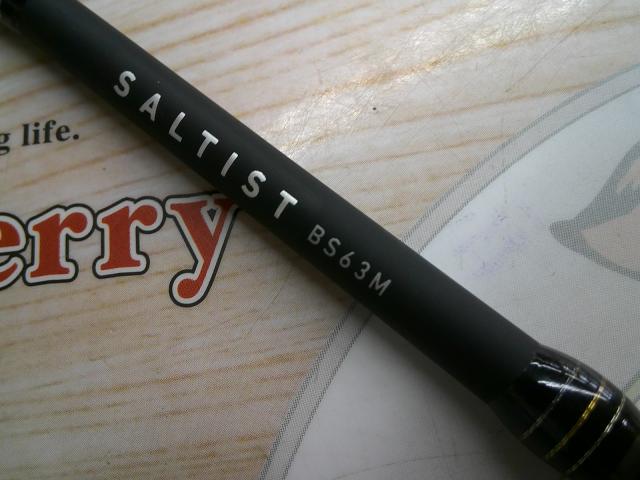 ロッド SALTIST BS63M SALTIST（ソルティスト）｜DAIWA