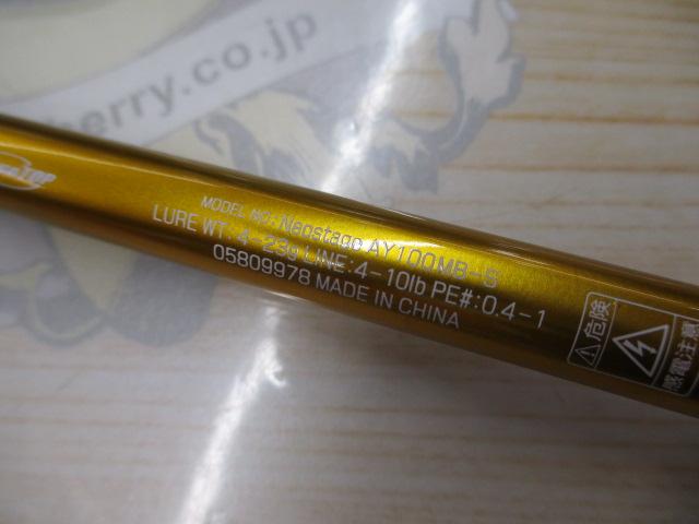 ネオステージAY 100MB-S