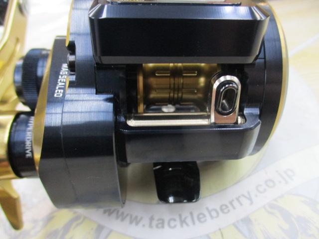 ダイワ 21 ソルティガ IC 100P-DH 新品未使用 ダイワ 21ソルティガIC 100P-DH 2021年5月発売予定の釣具販売