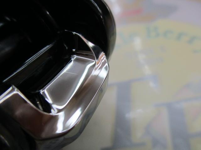 25アンタレス 100MG