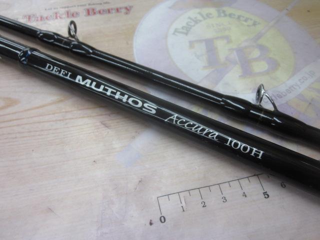 デフィーミュートス DMアキュラ 100H (RGモデル/RV)