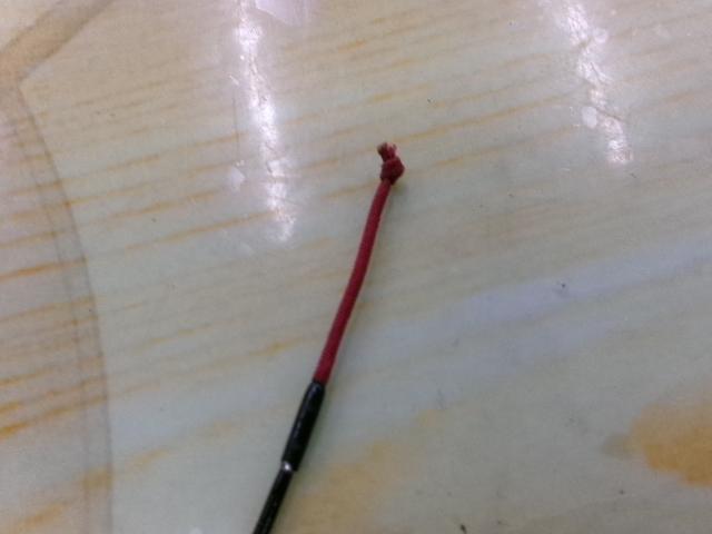 二天粋 おぼろ 19